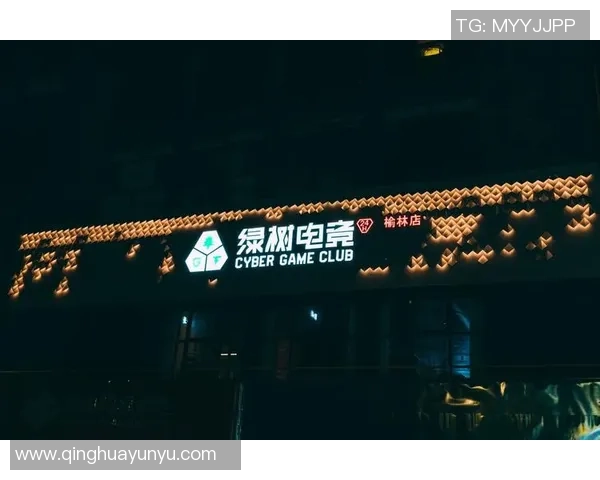 电竞金融服务创新助力电竞产业发展与资本运作新模式探索